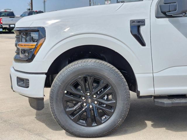 2024 Ford F-150 Vehicle Photo in Pilot Point, TX 76258