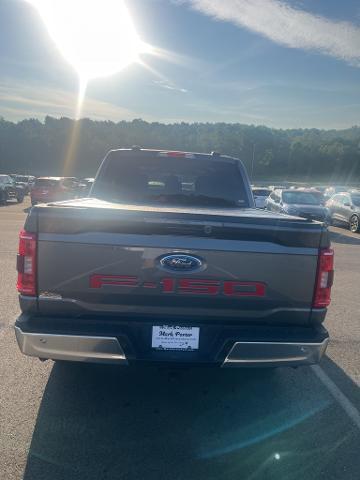 2023 Ford F-150 Vehicle Photo in Jackson, OH 45640-9766