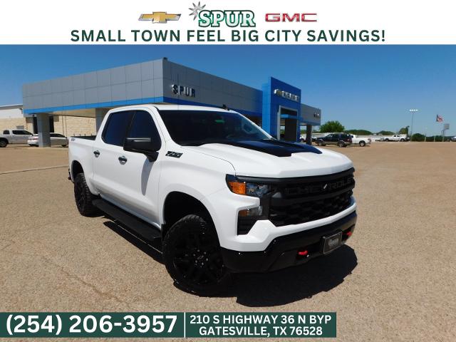 2024 Chevrolet Silverado 1500 Vehicle Photo in GATESVILLE, TX 76528-2745