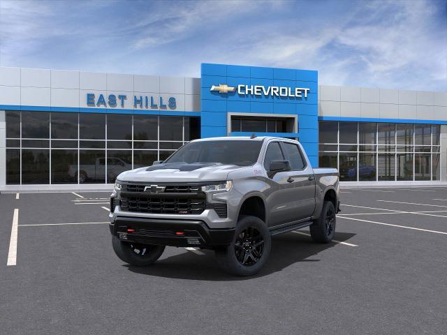 2025 Chevrolet Silverado 1500 Vehicle Photo in FREEPORT, NY 11520-3923