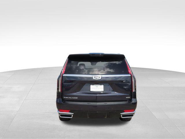 2024 Cadillac Escalade Vehicle Photo in DELRAY BEACH, FL 33483-3294