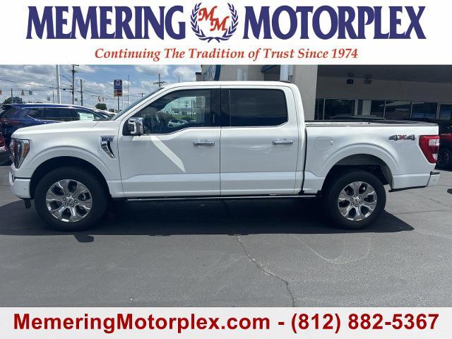 2023 Ford F-150 Vehicle Photo in VINCENNES, IN 47591-5519