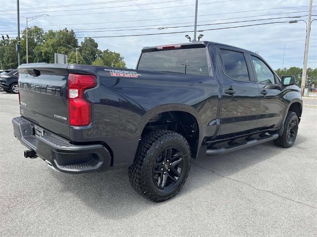 2024 Chevrolet Silverado 1500 Vehicle Photo in ALCOA, TN 37701-3235