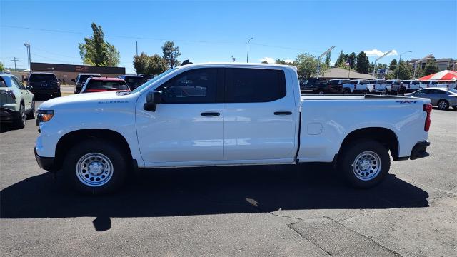 2024 Chevrolet Silverado 1500 Vehicle Photo in FLAGSTAFF, AZ 86001-6214