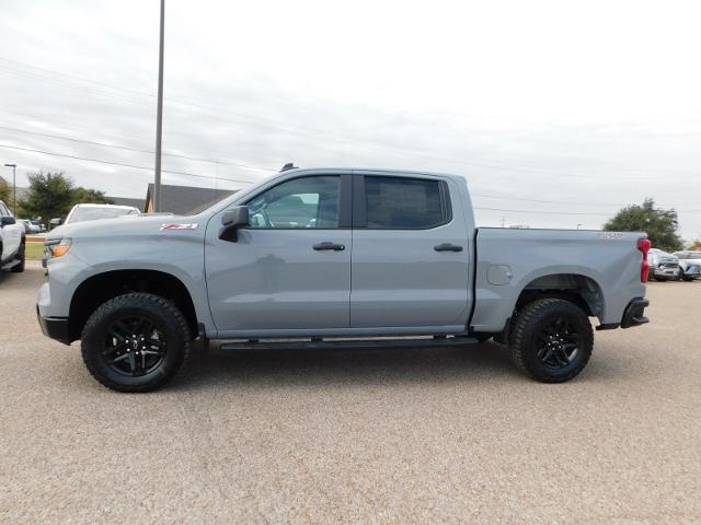 2025 Chevrolet Silverado 1500 Vehicle Photo in Weatherford, TX 76087