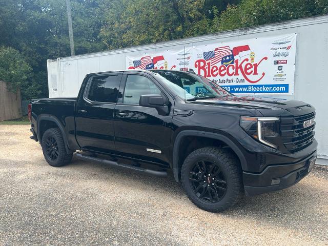 2022 GMC Sierra 1500 Vehicle Photo in DUNN, NC 28334-8900