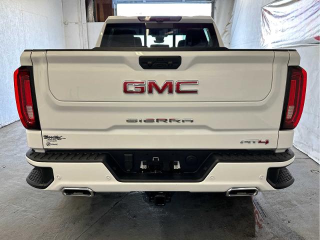 2025 GMC Sierra 1500 Vehicle Photo in RED SPRINGS, NC 28377-1640