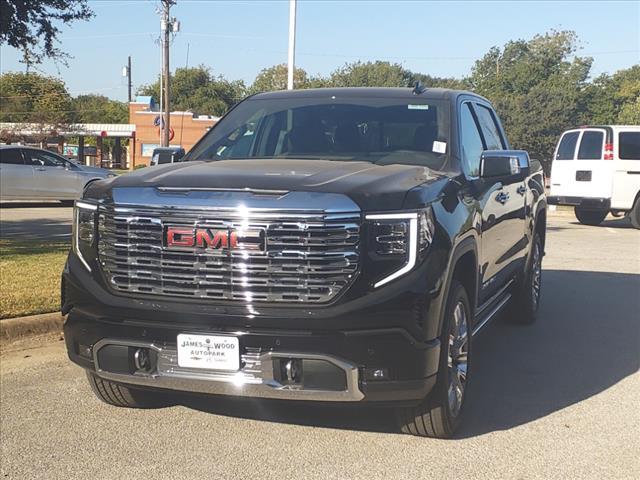 2025 GMC Sierra 1500 Vehicle Photo in Denton, TX 76205