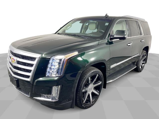 2016 Cadillac Escalade Vehicle Photo in ALLIANCE, OH 44601-4622