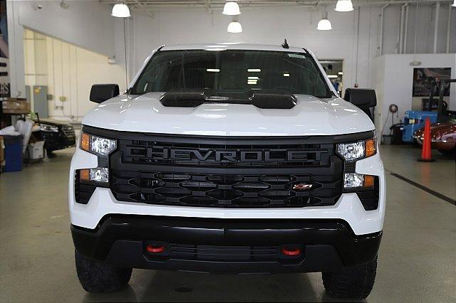 2025 Chevrolet Silverado 1500 Vehicle Photo in MEDINA, OH 44256-9001