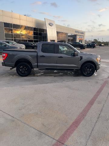 2022 Ford F-150 Vehicle Photo in STEPHENVILLE, TX 76401-3713