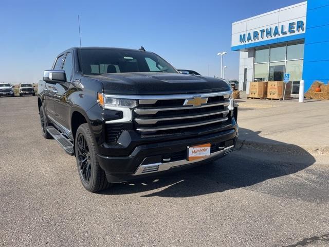 2025 Chevrolet Silverado 1500 Vehicle Photo in GLENWOOD, MN 56334-1123