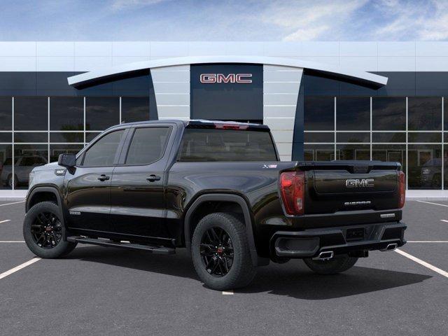 2024 GMC Sierra 1500 Vehicle Photo in WEST FRANKFORT, IL 62896-4173