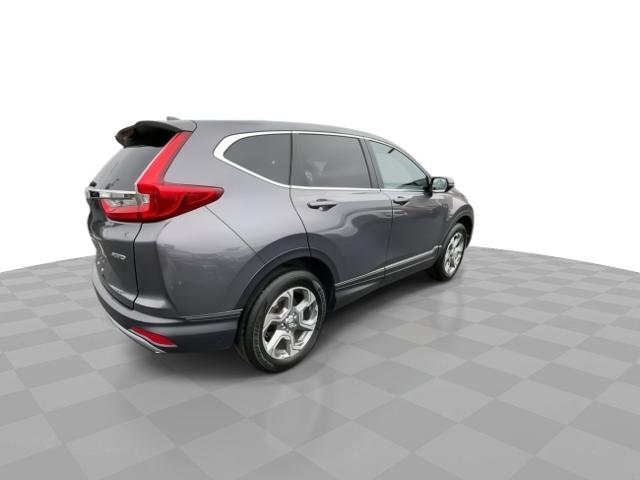 2019 Honda CR-V Vehicle Photo in WILLIAMSVILLE, NY 14221-4303