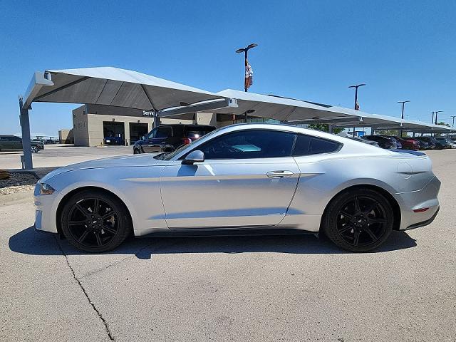 2019 Ford Mustang Vehicle Photo in Odessa, TX 79762