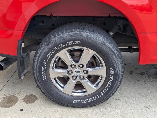 2019 Ford F-150 Vehicle Photo in POMEROY, OH 45769-1023