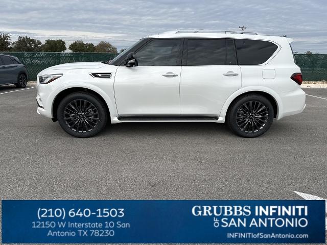 2024 INFINITI QX80 Vehicle Photo in San Antonio, TX 78230