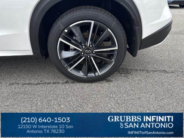 2024 INFINITI QX50 Vehicle Photo in San Antonio, TX 78230