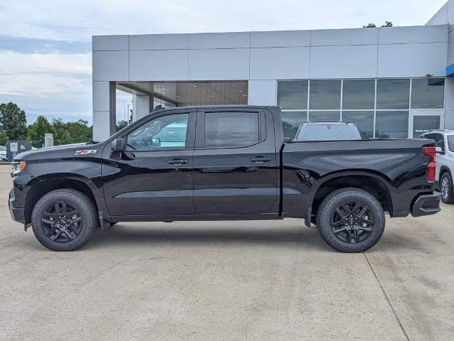 2024 Chevrolet Silverado 1500 Vehicle Photo in POMEROY, OH 45769-1023