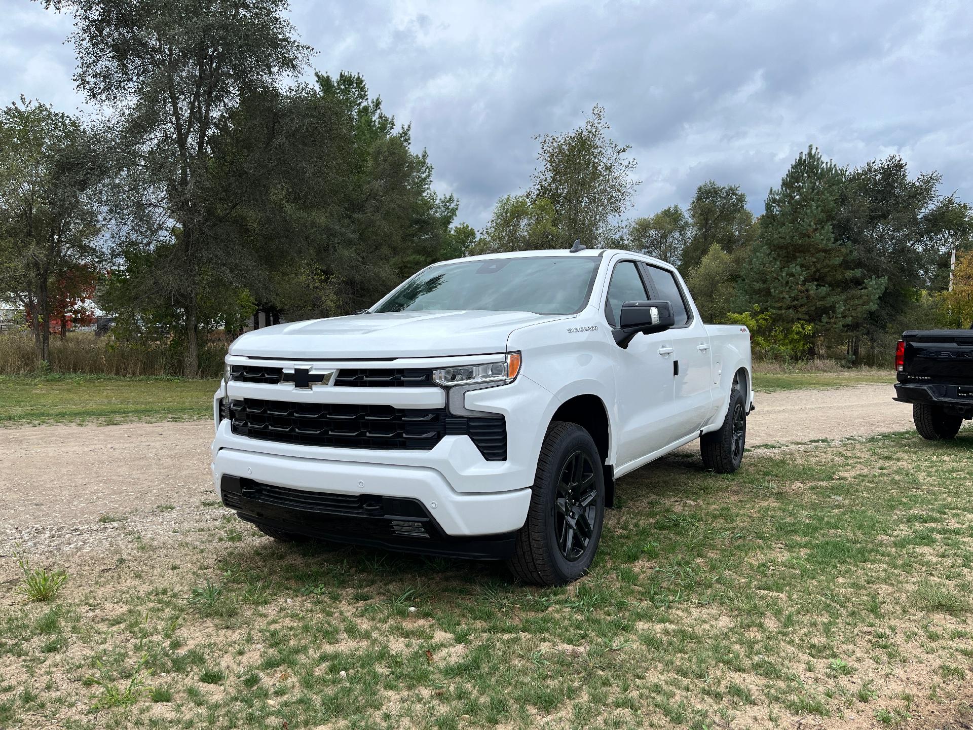 2025 Chevrolet Silverado 1500 Vehicle Photo in CLARE, MI 48617-9414