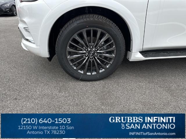 2024 INFINITI QX80 Vehicle Photo in San Antonio, TX 78230