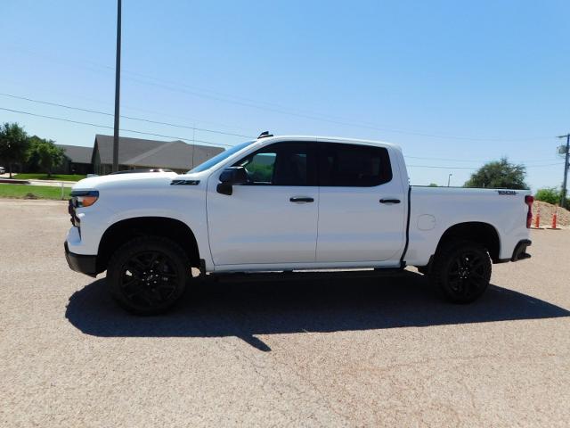 2024 Chevrolet Silverado 1500 Vehicle Photo in GATESVILLE, TX 76528-2745