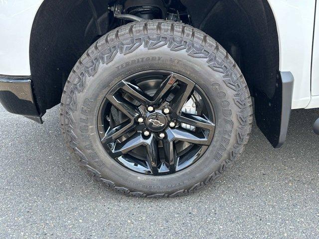 2024 Chevrolet Silverado 1500 Vehicle Photo in NEWBERG, OR 97132-1927