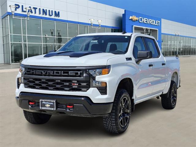 2024 Chevrolet Silverado 1500 Vehicle Photo in TERRELL, TX 75160-3007