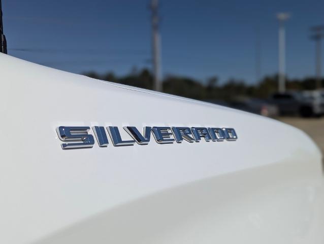 2019 Chevrolet Silverado 1500 Vehicle Photo in POMEROY, OH 45769-1023