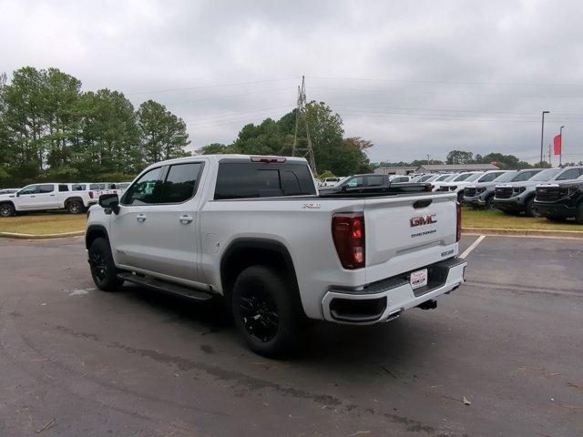 2025 GMC Sierra 1500 Vehicle Photo in ALBERTVILLE, AL 35950-0246