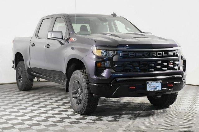 2024 Chevrolet Silverado 1500 Vehicle Photo in PUYALLUP, WA 98371-4149