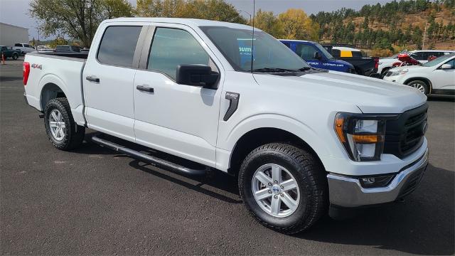 2023 Ford F-150 Vehicle Photo in FLAGSTAFF, AZ 86001-6214