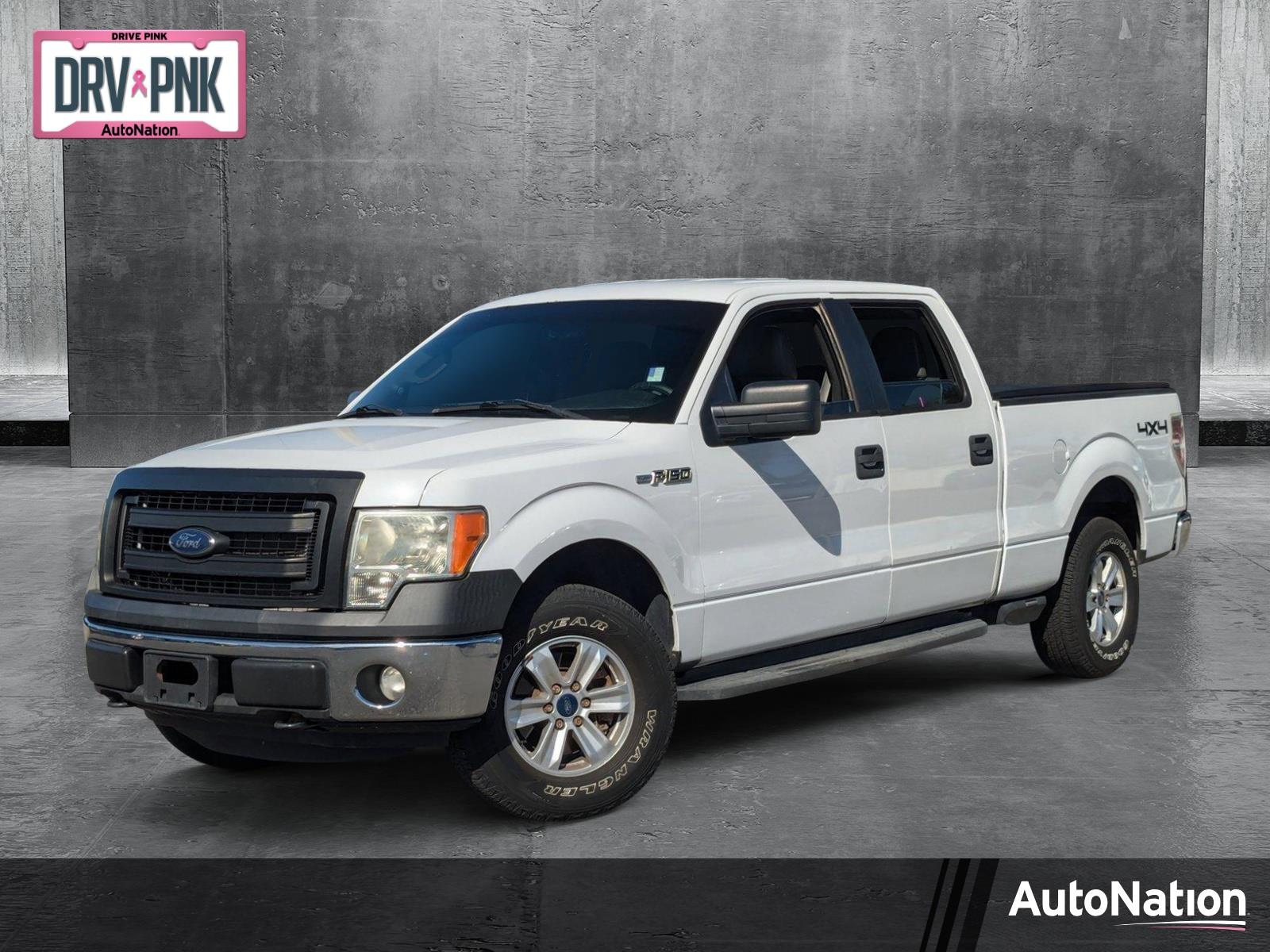 2014 Ford F-150 Vehicle Photo in St. Petersburg, FL 33713