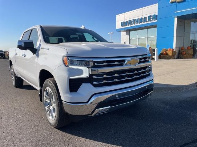 2025 Chevrolet Silverado 1500 Vehicle Photo in GLENWOOD, MN 56334-1123