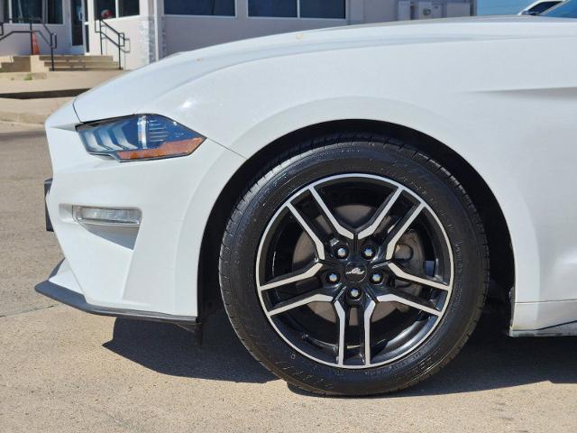 2019 Ford Mustang Vehicle Photo in Cleburne, TX 76033