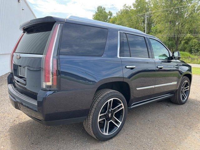 2019 Cadillac Escalade Vehicle Photo in JACKSON, MI 49202-1834