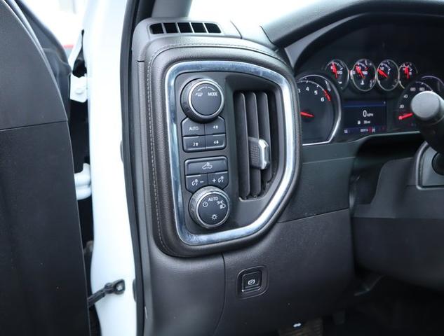 2020 Chevrolet Silverado 1500 Vehicle Photo in DETROIT, MI 48207-4102