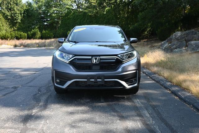 2020 Honda CR-V Vehicle Photo in NORWOOD, MA 02062-5222