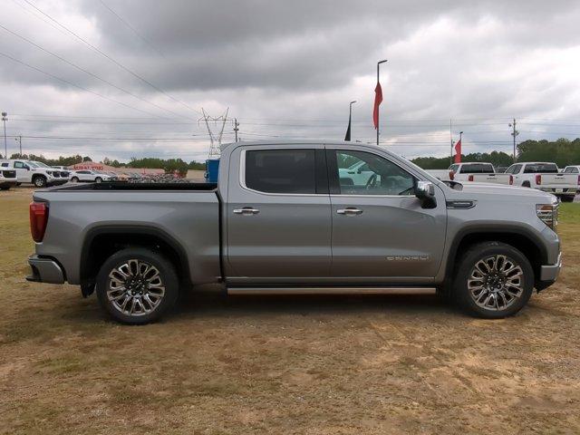 2025 GMC Sierra 1500 Vehicle Photo in ALBERTVILLE, AL 35950-0246