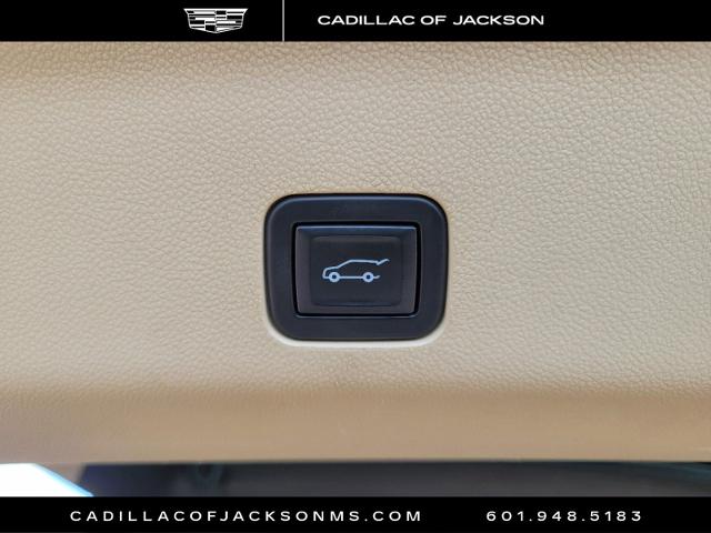 2021 Cadillac Escalade ESV Vehicle Photo in RIDGELAND, MS 39157-4406