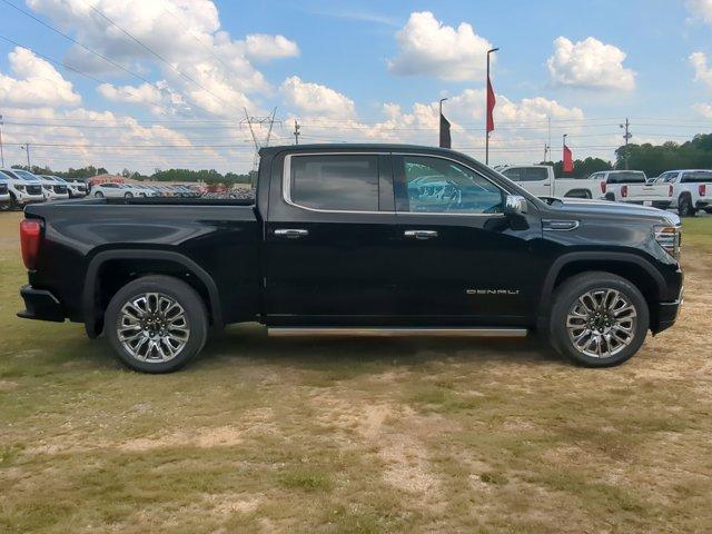 2025 GMC Sierra 1500 Vehicle Photo in ALBERTVILLE, AL 35950-0246