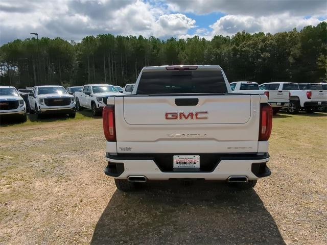 2023 GMC Sierra 1500 Vehicle Photo in ALBERTVILLE, AL 35950-0246