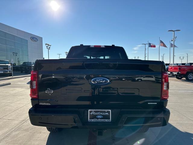 2023 Ford F-150 Vehicle Photo in Terrell, TX 75160