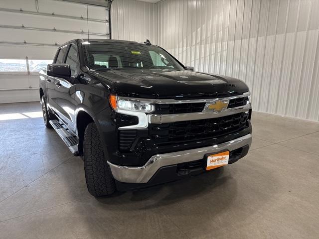 2022 Chevrolet Silverado 1500 Vehicle Photo in GLENWOOD, MN 56334-1123