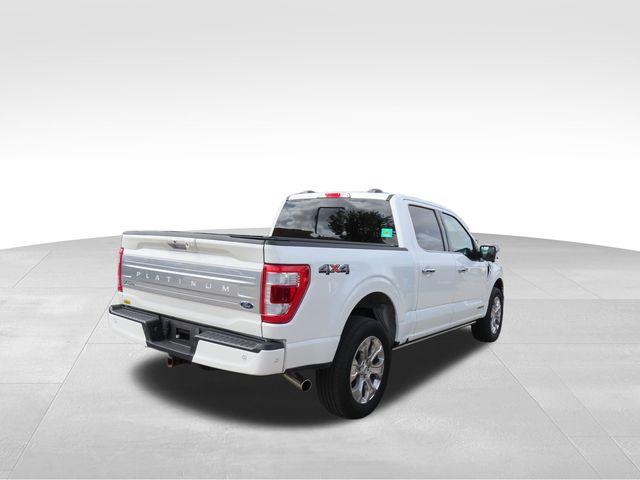 2023 Ford F-150 Vehicle Photo in DELRAY BEACH, FL 33483-3294