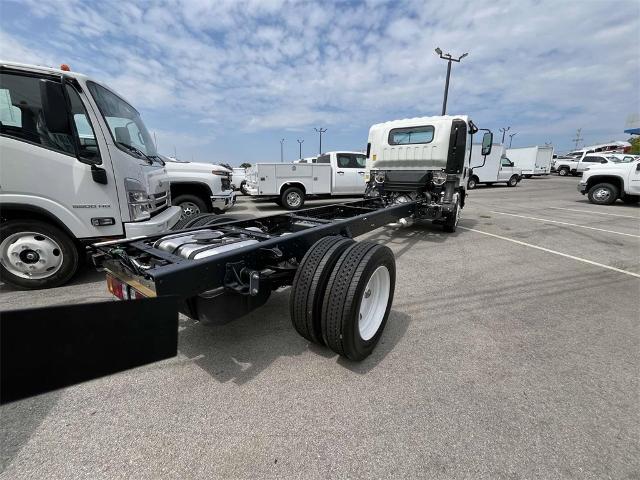 2024 Chevrolet Low Cab Forward 4500 Vehicle Photo in ALCOA, TN 37701-3235