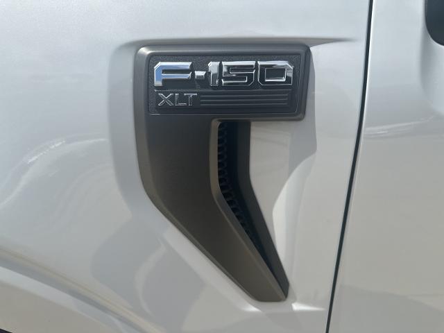 2021 Ford F-150 Vehicle Photo in Terrell, TX 75160