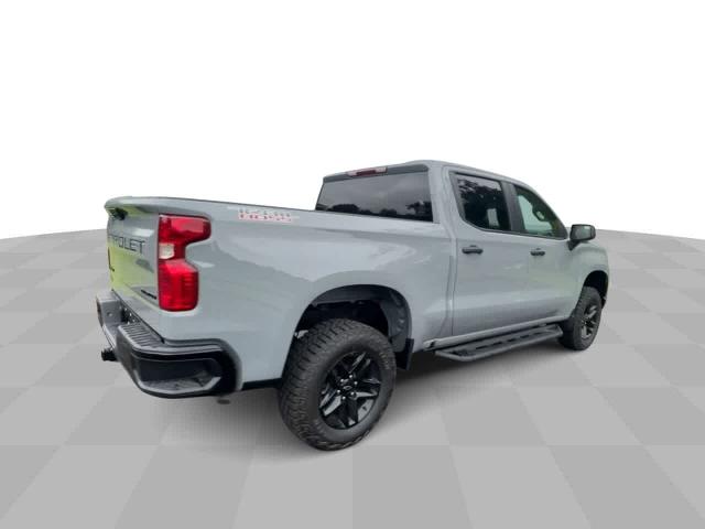 2024 Chevrolet Silverado 1500 Vehicle Photo in THOMPSONTOWN, PA 17094-9014