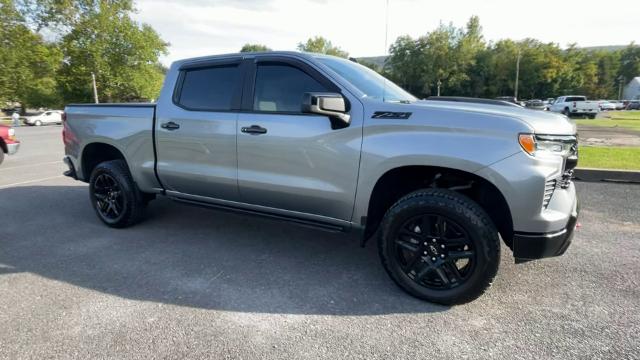 2024 Chevrolet Silverado 1500 Vehicle Photo in THOMPSONTOWN, PA 17094-9014