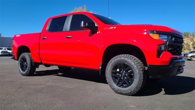 2025 Chevrolet Silverado 1500 Vehicle Photo in FLAGSTAFF, AZ 86001-6214